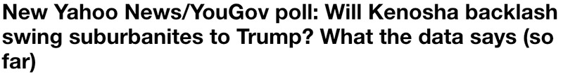 Suburban Voters Swing to Trump: They Now View BLM Unfavorably - Poll